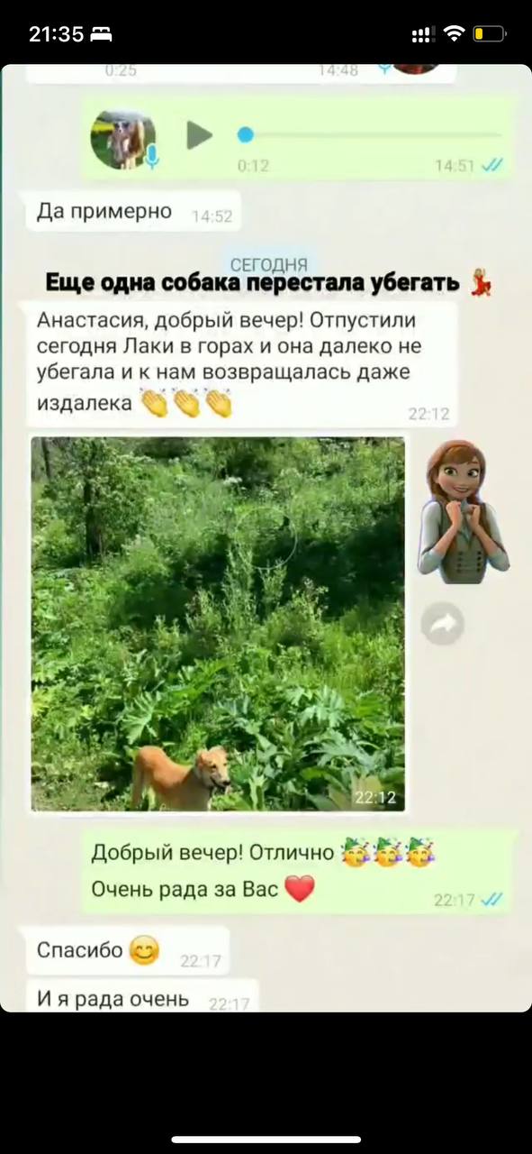 кинолог отзывы